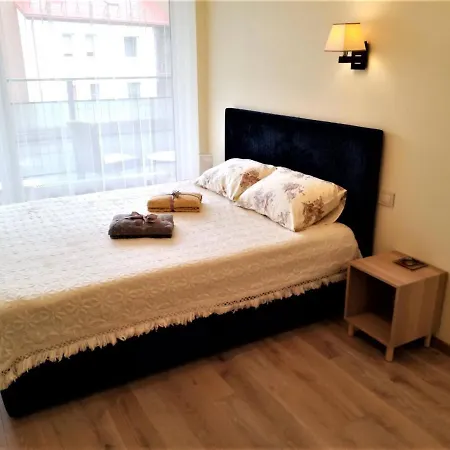 Beautiful Apartment In The Heart Of Birstonas Exterior photo