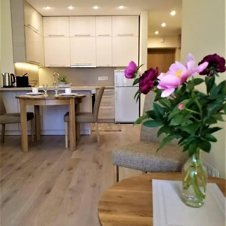 Beautiful Apartment In The Heart Of Birstonas Exterior photo