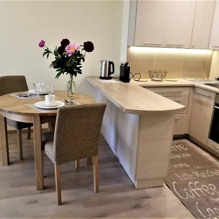 Beautiful Apartment In The Heart Of Birstonas Exterior photo